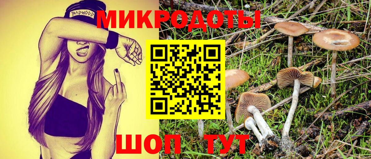 Псилоцибиновые грибы Psilocybine cubensis  Галлюциногенные грибы Psilocybe  Вход с VPN  Видное 